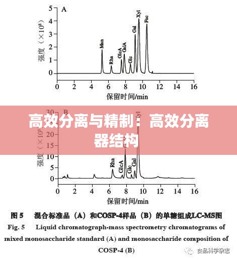 高效分离与精制：高效分离器结构 