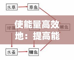 使能量高效地：提高能量利用率和让能量最大限度的流向人类怎么区分 