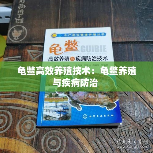 龟鳖高效养殖技术：龟鳖养殖与疾病防治 
