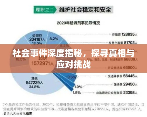 社会事件深度揭秘，探寻真相与应对挑战
