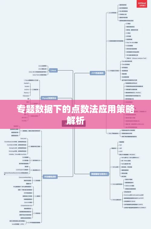 专题数据下的点数法应用策略解析