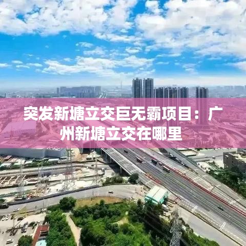 突发新塘立交巨无霸项目：广州新塘立交在哪里 