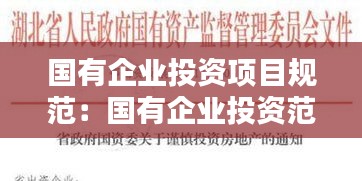 国有企业投资项目规范：国有企业投资范围 