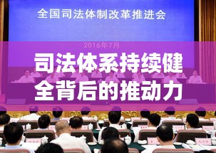 司法体系持续健全背后的推动力与推动力分析