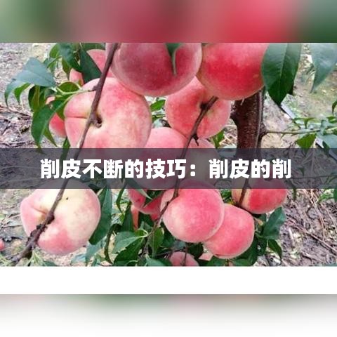 久别重逢 第2页