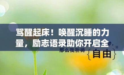 骂醒起床！唤醒沉睡的力量，励志语录助你开启全新一天！