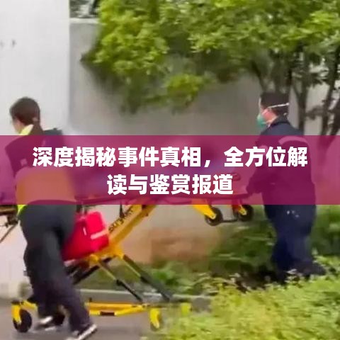 深度揭秘事件真相，全方位解读与鉴赏报道