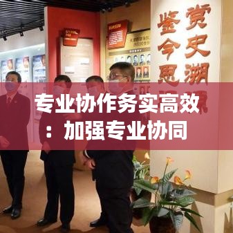 专业协作务实高效：加强专业协同 