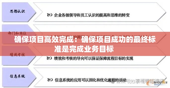 确保项目高效完成：确保项目成功的最终标准是完成业务目标 