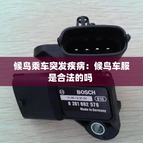 候鸟乘车突发疾病：候鸟车服是合法的吗 