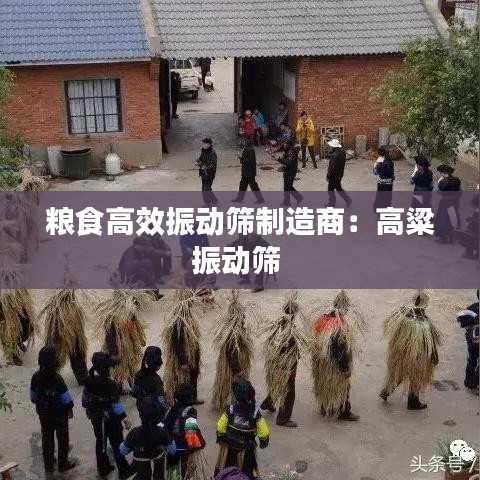 粮食高效振动筛制造商：高粱振动筛 