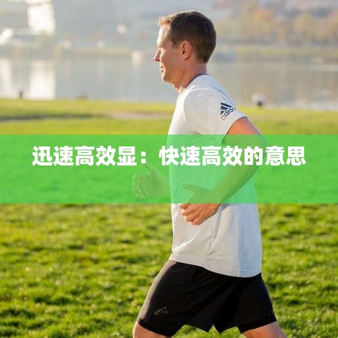 迅速高效显：快速高效的意思 