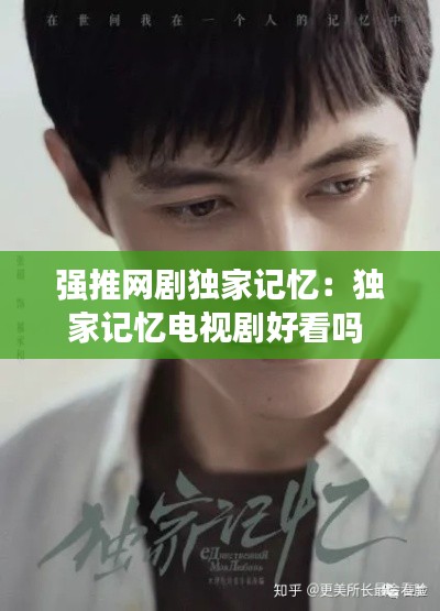 强推网剧独家记忆：独家记忆电视剧好看吗 