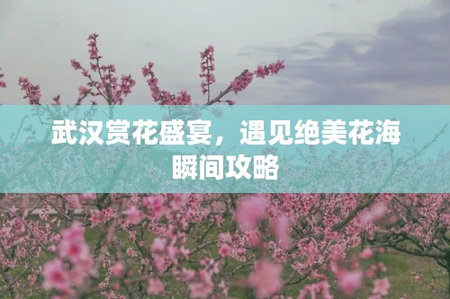 武汉赏花盛宴，遇见绝美花海瞬间攻略