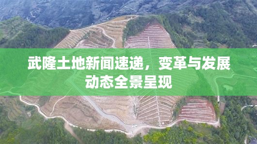 武隆土地新闻速递，变革与发展动态全景呈现