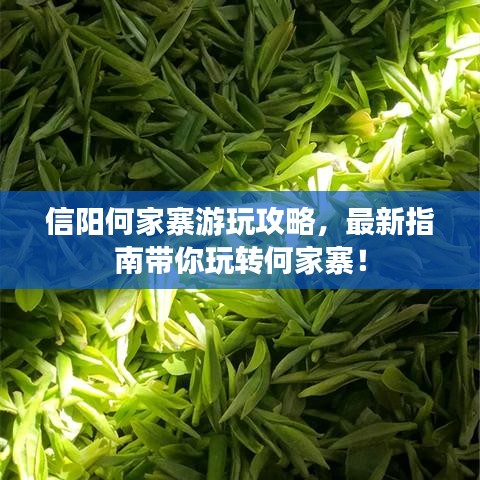 信阳何家寨游玩攻略，最新指南带你玩转何家寨！