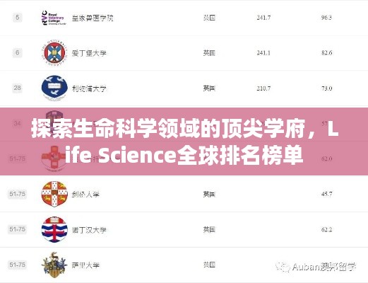 威风凛凛 第2页