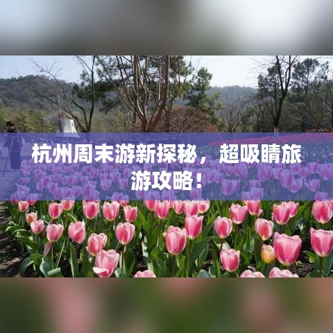 杭州周末游新探秘，超吸睛旅游攻略！