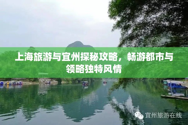 上海旅游与宜州探秘攻略，畅游都市与领略独特风情
