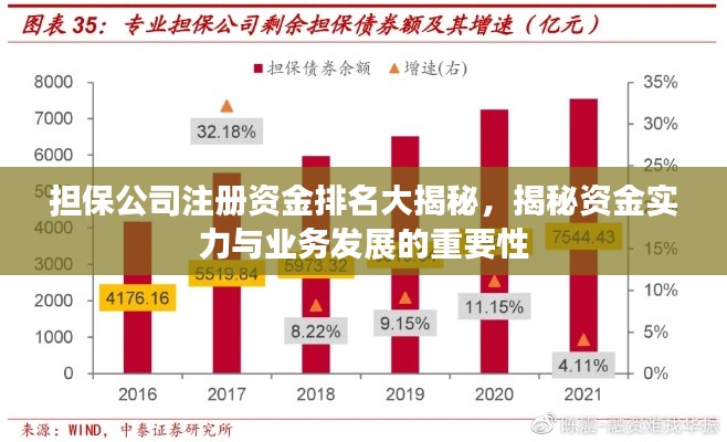 担保公司注册资金排名大揭秘，揭秘资金实力与业务发展的重要性