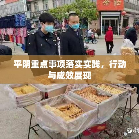 平阴重点事项落实实践，行动与成效展现