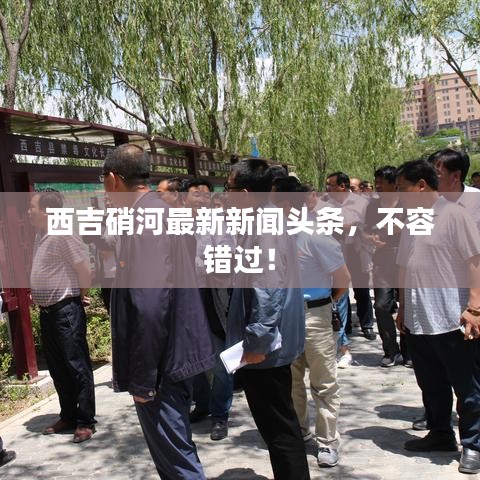西吉硝河最新新闻头条，不容错过！