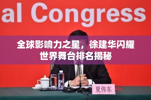 全球影响力之星，徐建华闪耀世界舞台排名揭秘