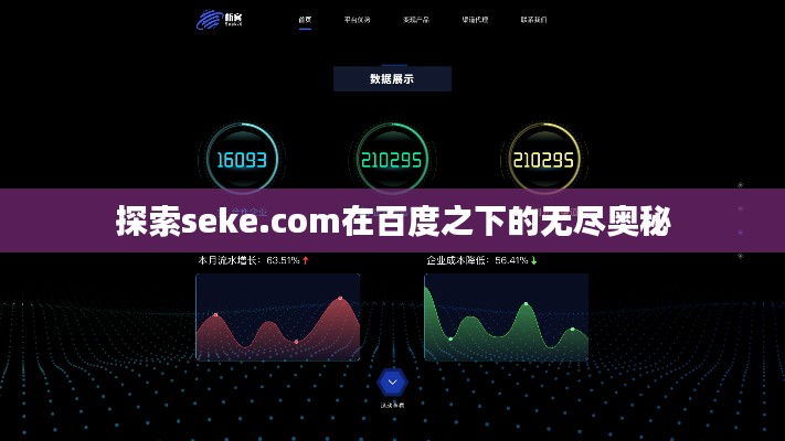 探索seke.com在百度之下的无尽奥秘