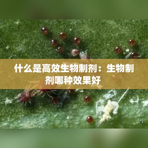 什么是高效生物制剂：生物制剂哪种效果好 