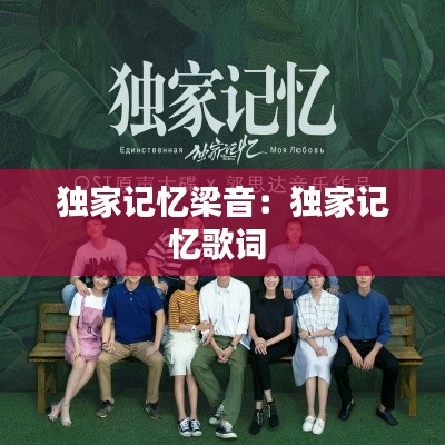 独家记忆梁音：独家记忆歌词 