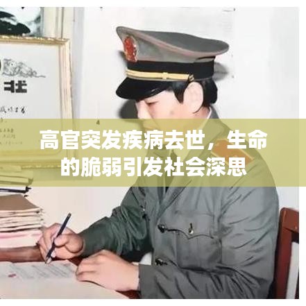 高官突发疾病去世，生命的脆弱引发社会深思