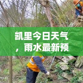凯里今日天气，雨水最新预报报告