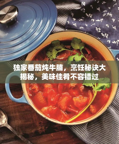 独家番茄炖牛腩，烹饪秘诀大揭秘，美味佳肴不容错过