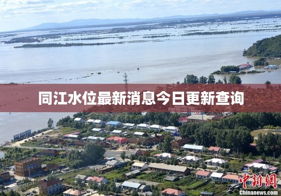 同江水位最新消息今日更新查询