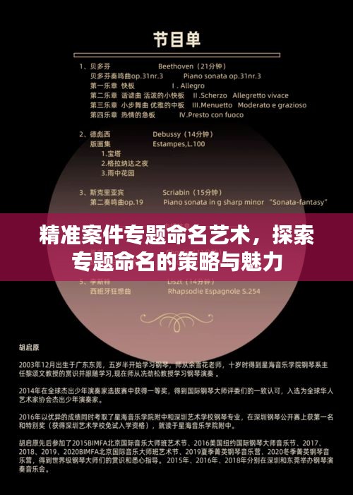 精准案件专题命名艺术，探索专题命名的策略与魅力