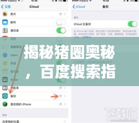 揭秘猪圈奥秘，百度搜索指南助你轻松获取猪圈信息！