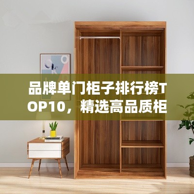 品牌单门柜子排行榜TOP10，精选高品质柜子推荐！
