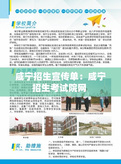 咸宁招生宣传单：咸宁招生考试院网 