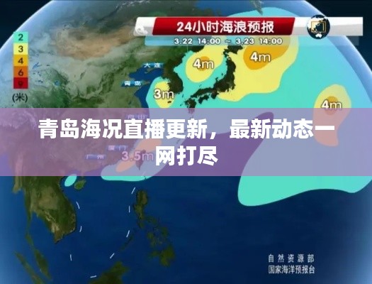 青岛海况直播更新，最新动态一网打尽