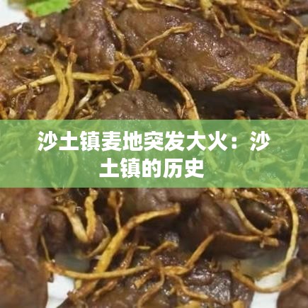 沙土镇麦地突发大火：沙土镇的历史 