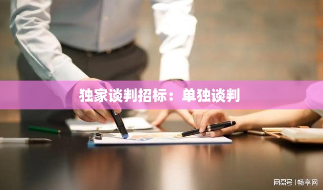 独家谈判招标：单独谈判 