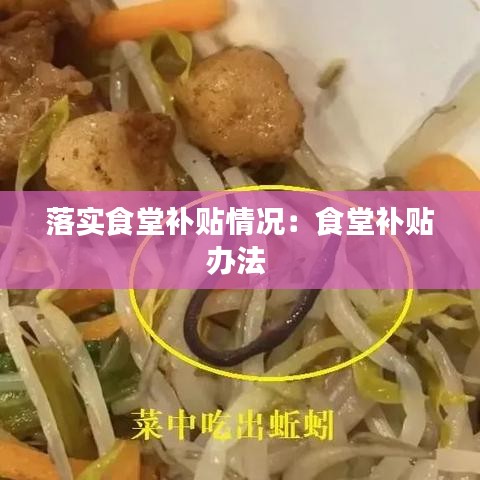 落实食堂补贴情况：食堂补贴办法 