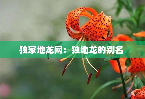 独家地龙网：独地龙的别名 
