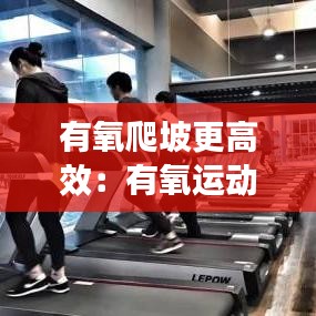 有氧爬坡更高效：有氧运动爬坡和跑步 