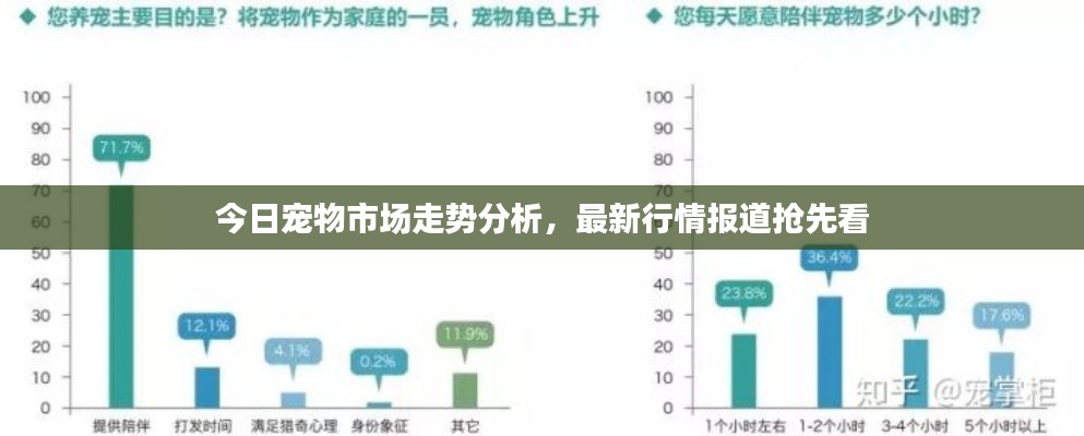 今日宠物市场走势分析，最新行情报道抢先看