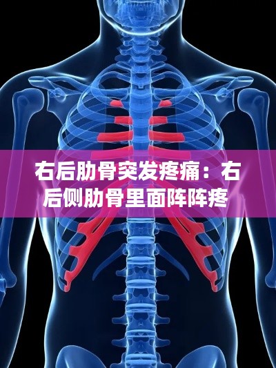 栖鸟于泉 第2页