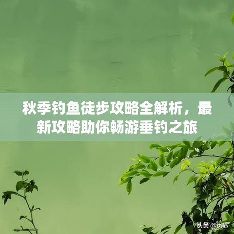 秋季钓鱼徒步攻略全解析，最新攻略助你畅游垂钓之旅