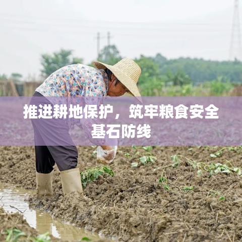 配送流程 第86页
