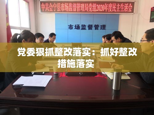 党委狠抓整改落实：抓好整改措施落实 