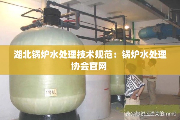 湖北锅炉水处理技术规范：锅炉水处理协会官网 